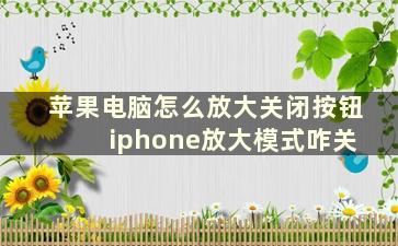 苹果电脑怎么放大关闭按钮 iphone放大模式咋关